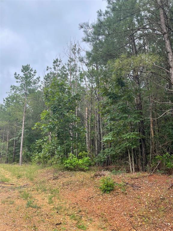 99 Heavenly Pine Property Photo 1