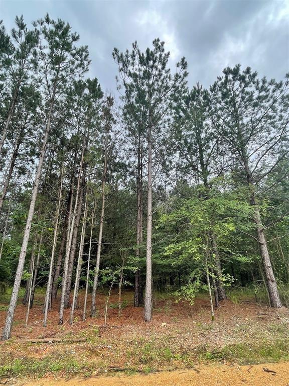 81 Hidden Trail Property Photo 2