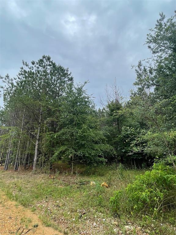 81 Hidden Trail Property Photo 3