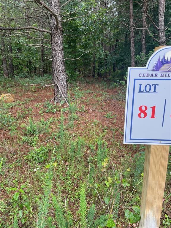 81 Hidden Trail Property Photo 8