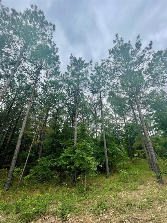 93 Cedar Hills Trail Property Photo