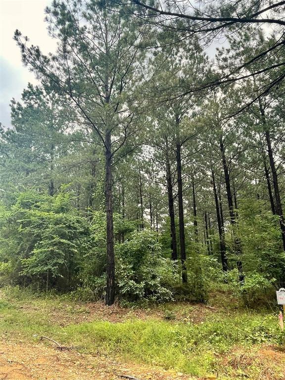 94 Cedar Hills Trail Property Photo