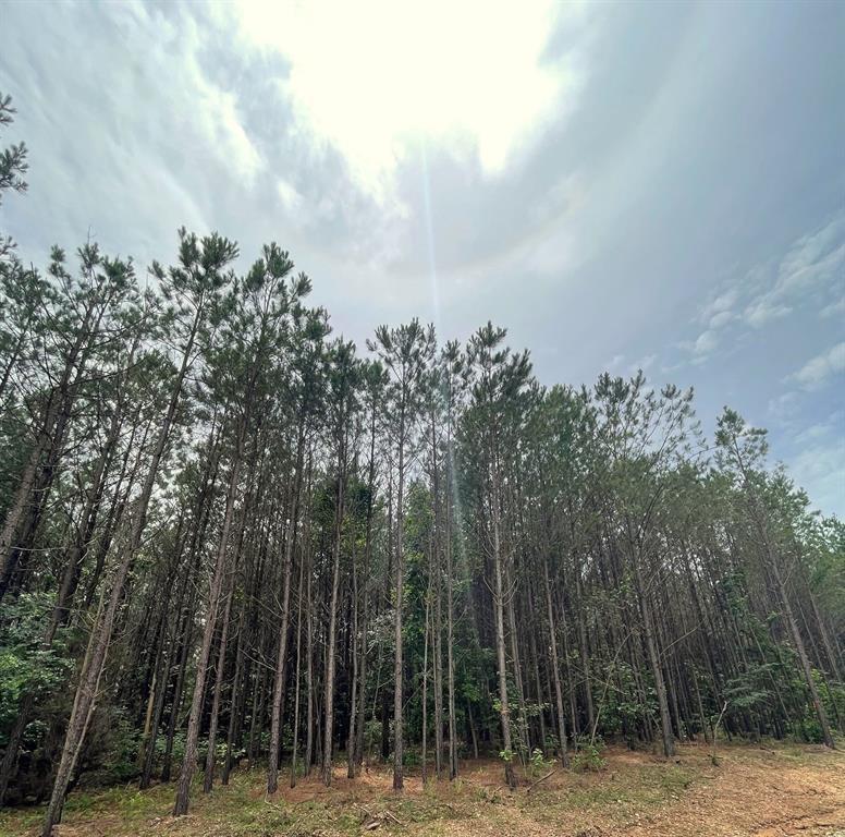 Cedar Hills Lakes X Property Photo