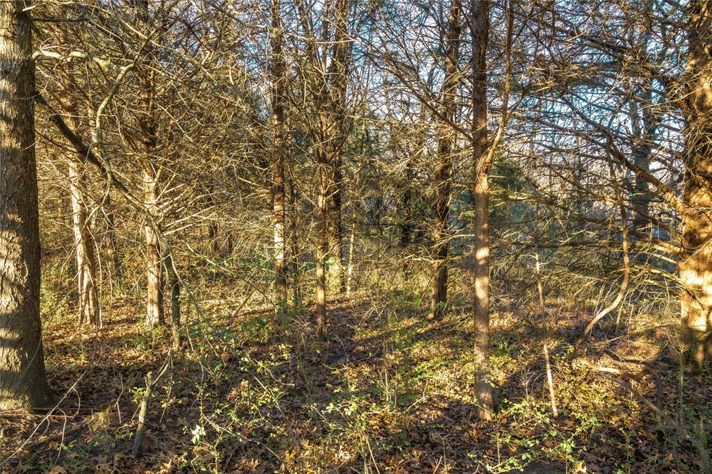 Westoaks Estates Property Photo 13