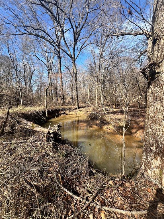 4797 W State Highway 3 Highway Property Photo 3
