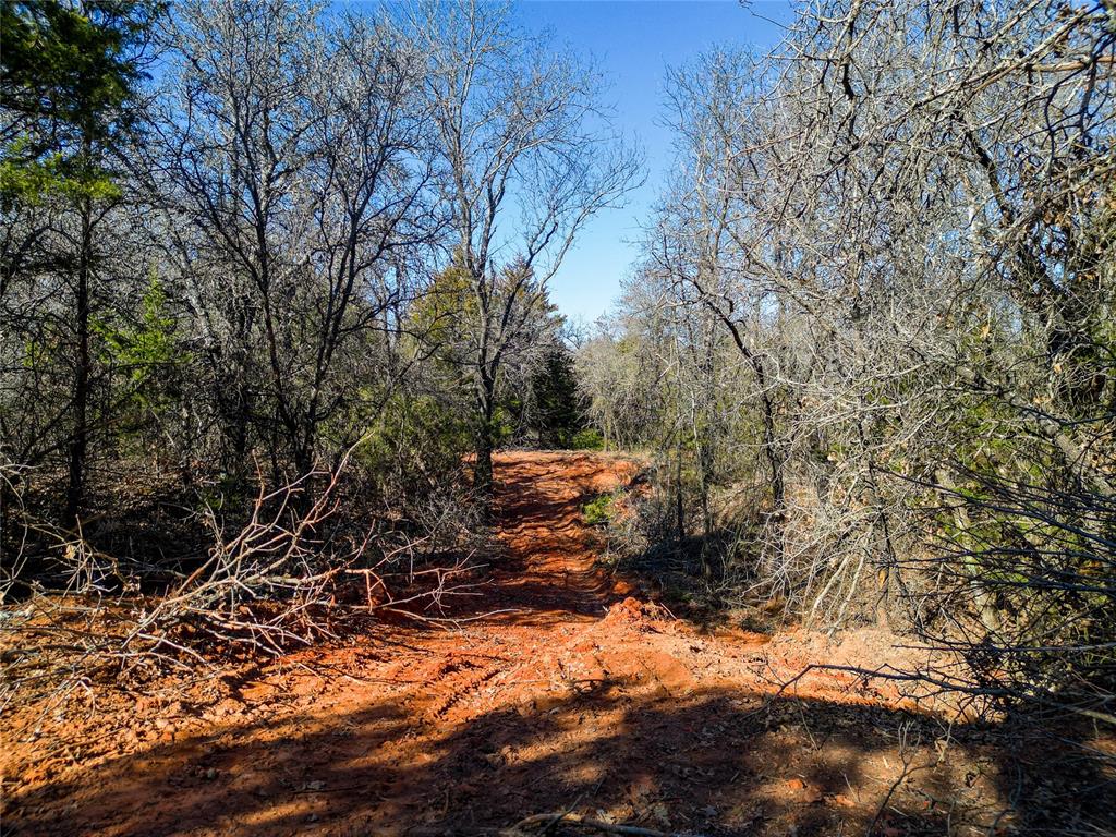 Lot B - Williams Road Property Photo 3