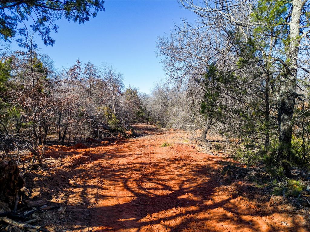 Lot B - Williams Road Property Photo 4