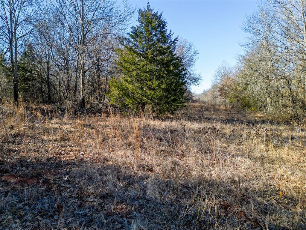Lot B - Williams Road Property Photo 5