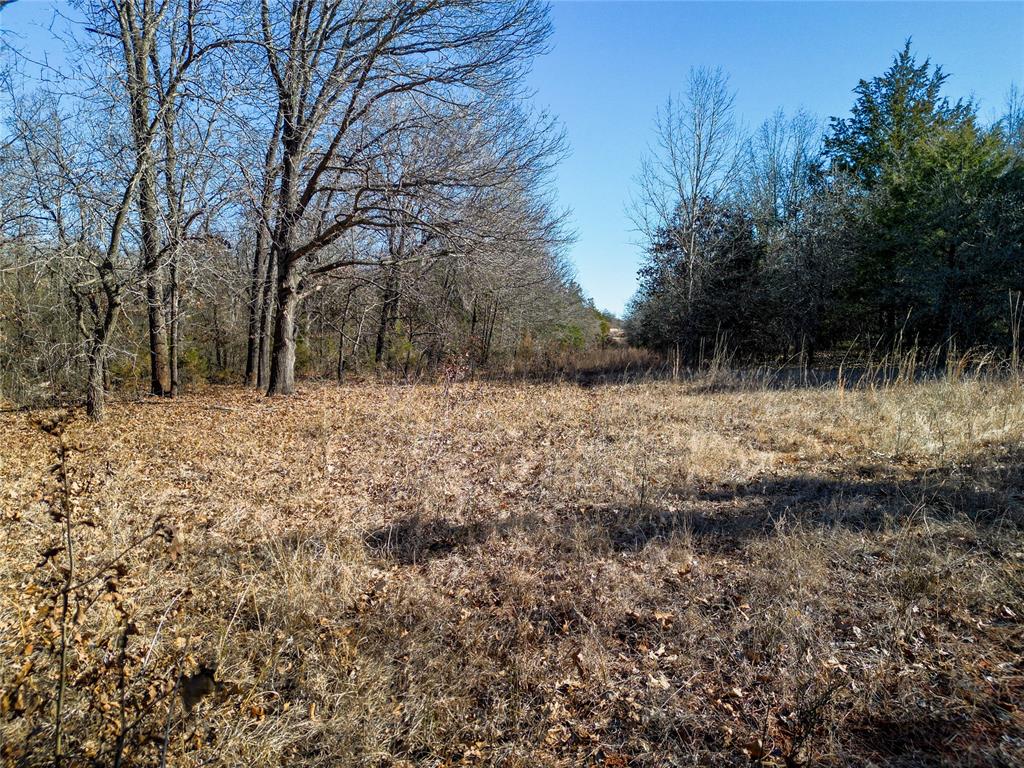 Lot B - Williams Road Property Photo 7