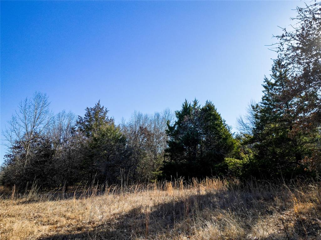 Lot B - Williams Road Property Photo 8
