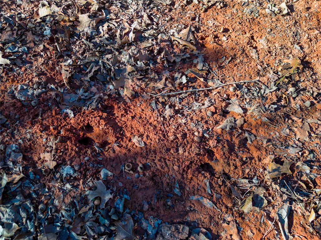 Lot B - Williams Road Property Photo 11