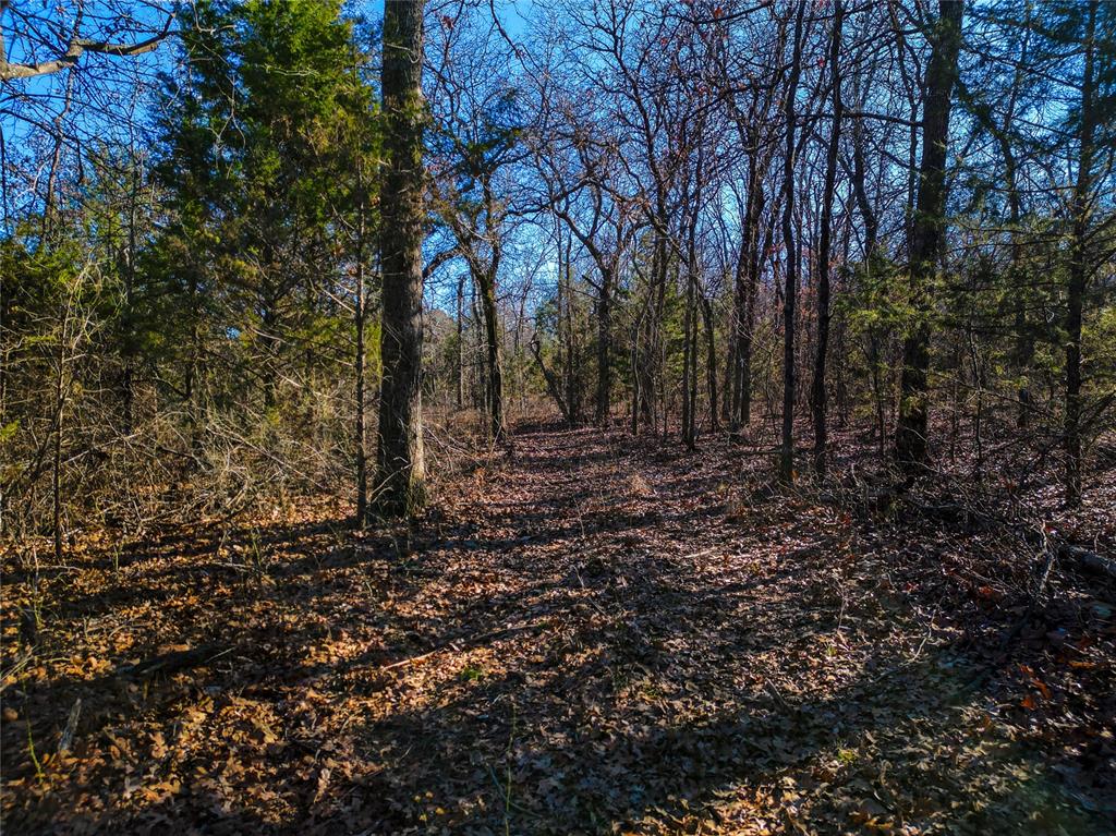 Lot B - Williams Road Property Photo 12