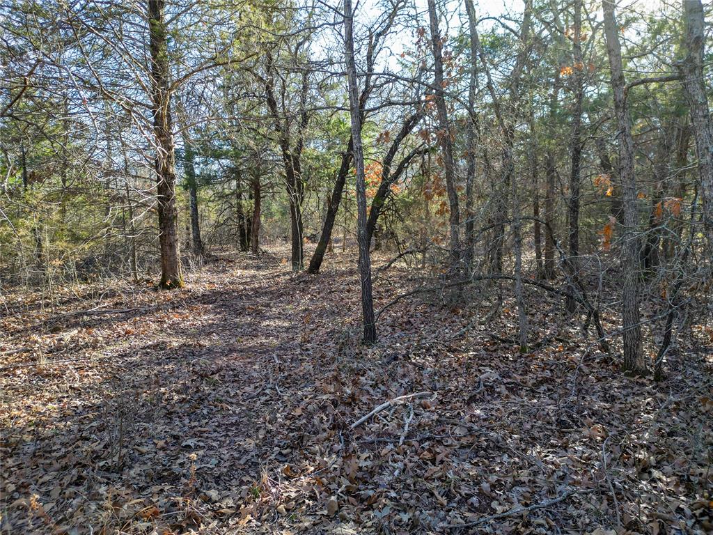 Lot B - Williams Road Property Photo 13