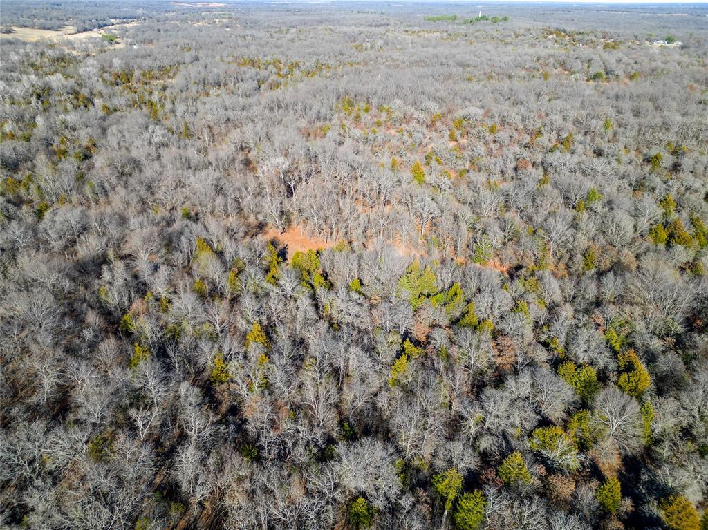 Lot B - Williams Road Property Photo 16