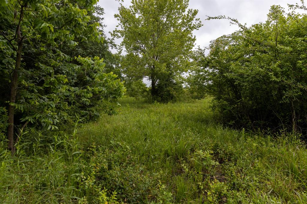 01 N 3800 Road Property Photo 14
