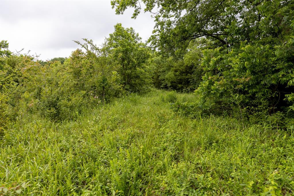01 N 3800 Road Property Photo 15