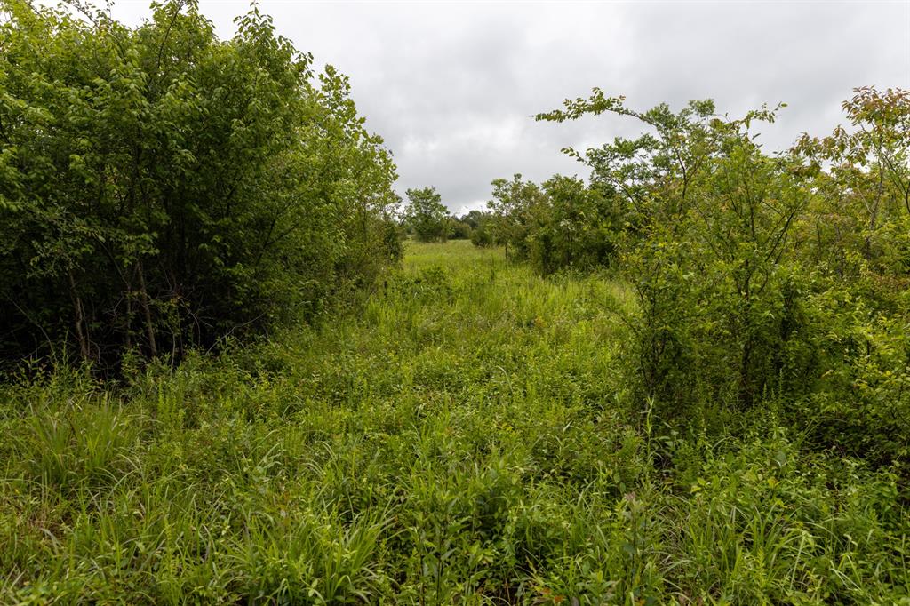 01 N 3800 Road Property Photo 16