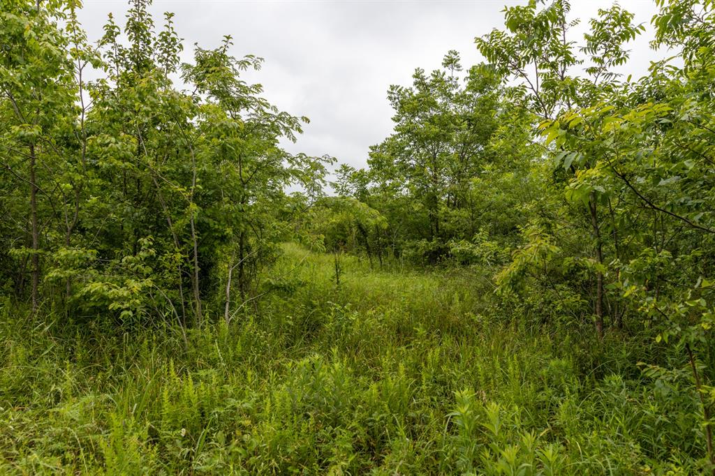 01 N 3800 Road Property Photo 20