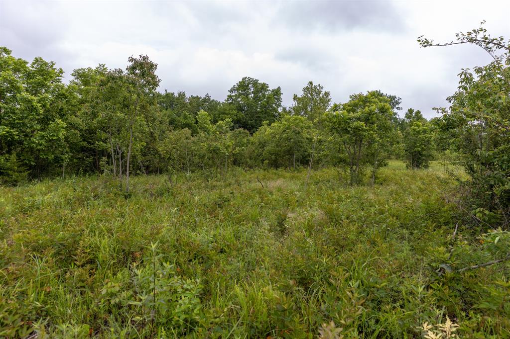 01 N 3800 Road Property Photo 22