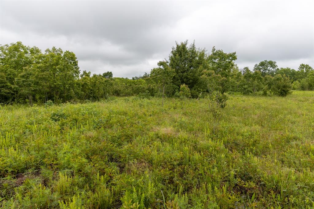01 N 3800 Road Property Photo 26