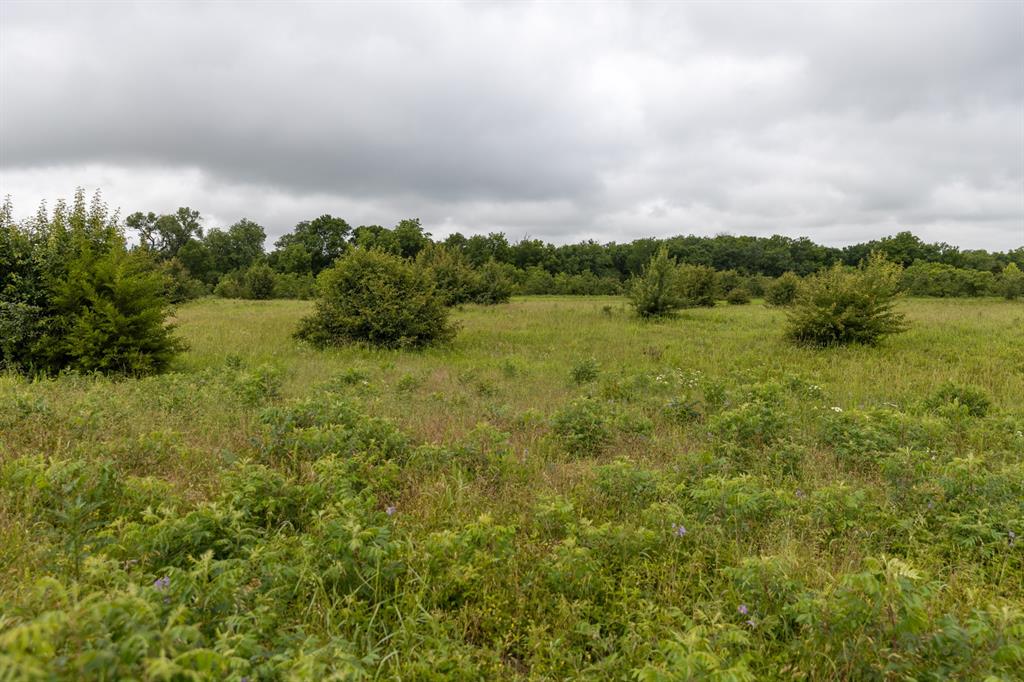01 N 3800 Road Property Photo 33