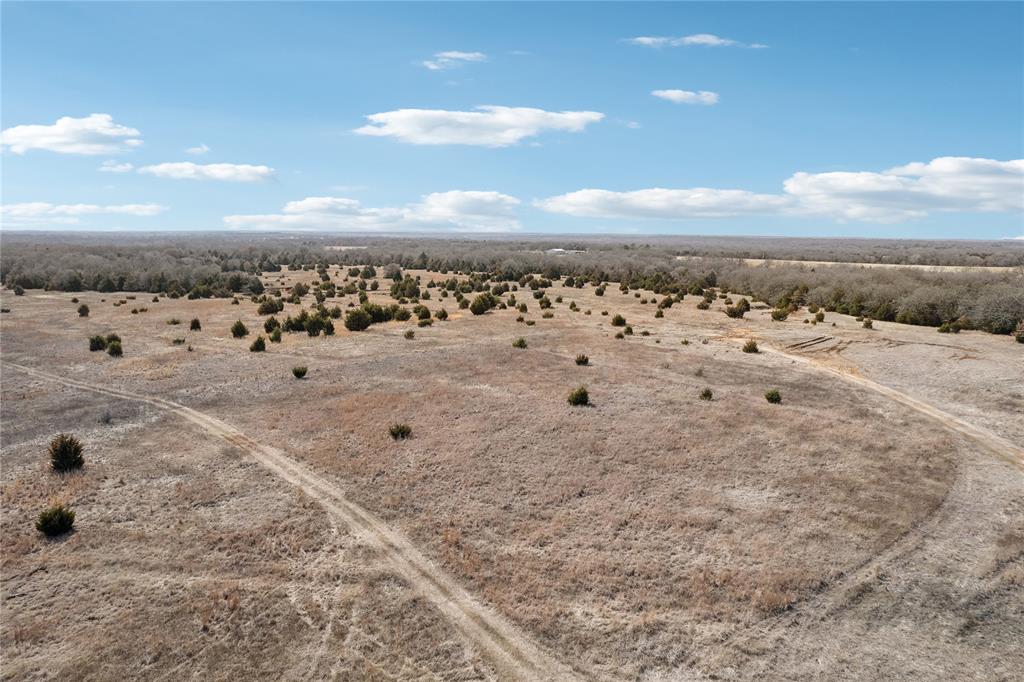 160 Acres Patterson & Skelly Road Property Photo 6