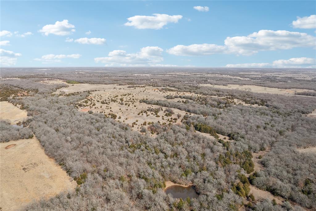 160 Acres Patterson & Skelly Road Property Photo 8