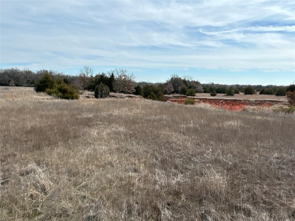 160 Acres Patterson & Skelly Road Property Photo 13
