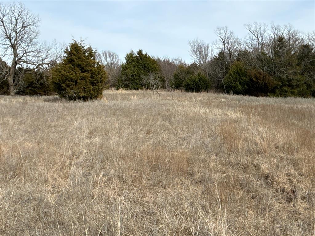 160 Acres Patterson & Skelly Road Property Photo 14