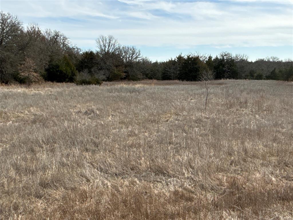 160 Acres Patterson & Skelly Road Property Photo 15