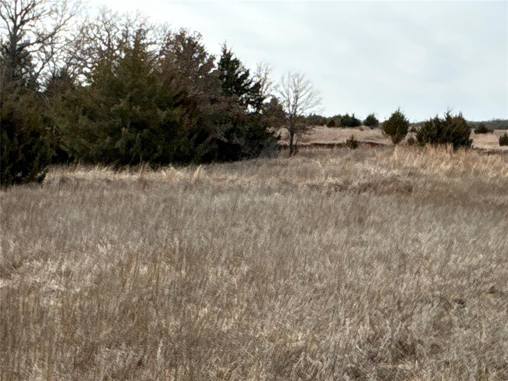 160 Acres Patterson & Skelly Road Property Photo 16