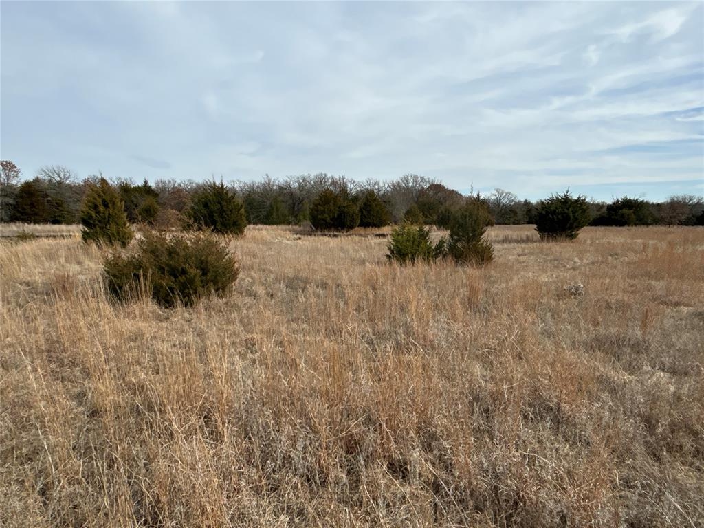 160 Acres Patterson & Skelly Road Property Photo 17