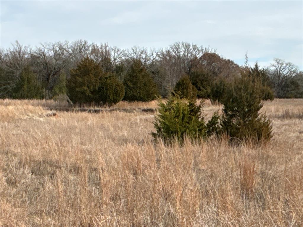 160 Acres Patterson & Skelly Road Property Photo 18