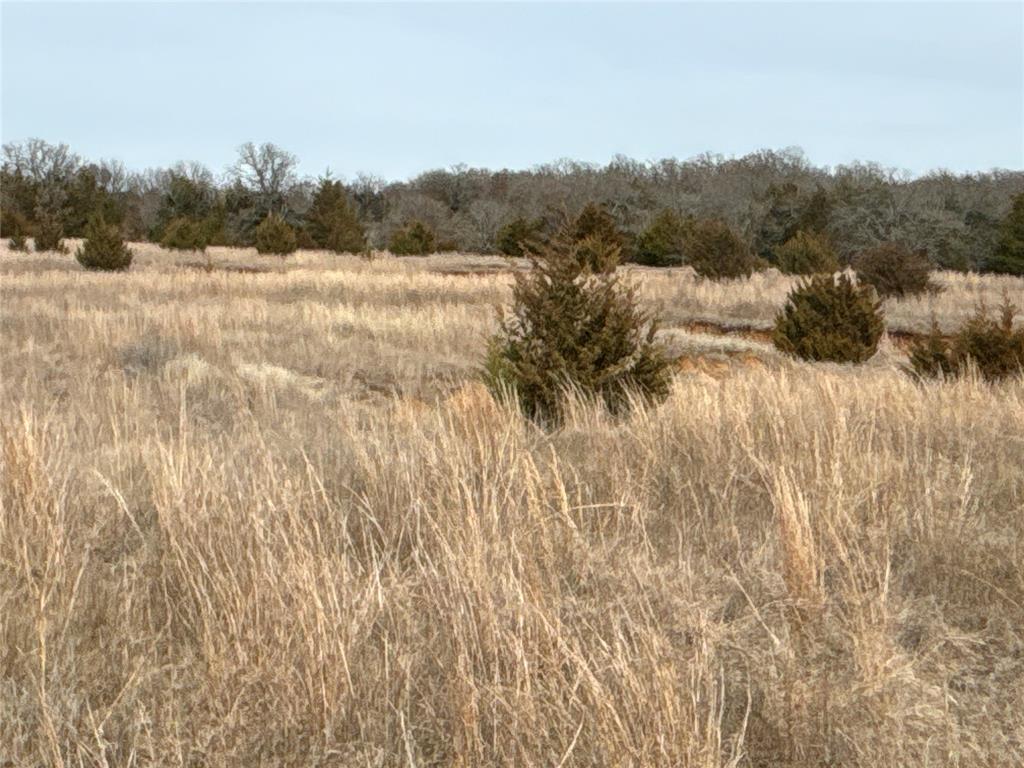 160 Acres Patterson & Skelly Road Property Photo 19
