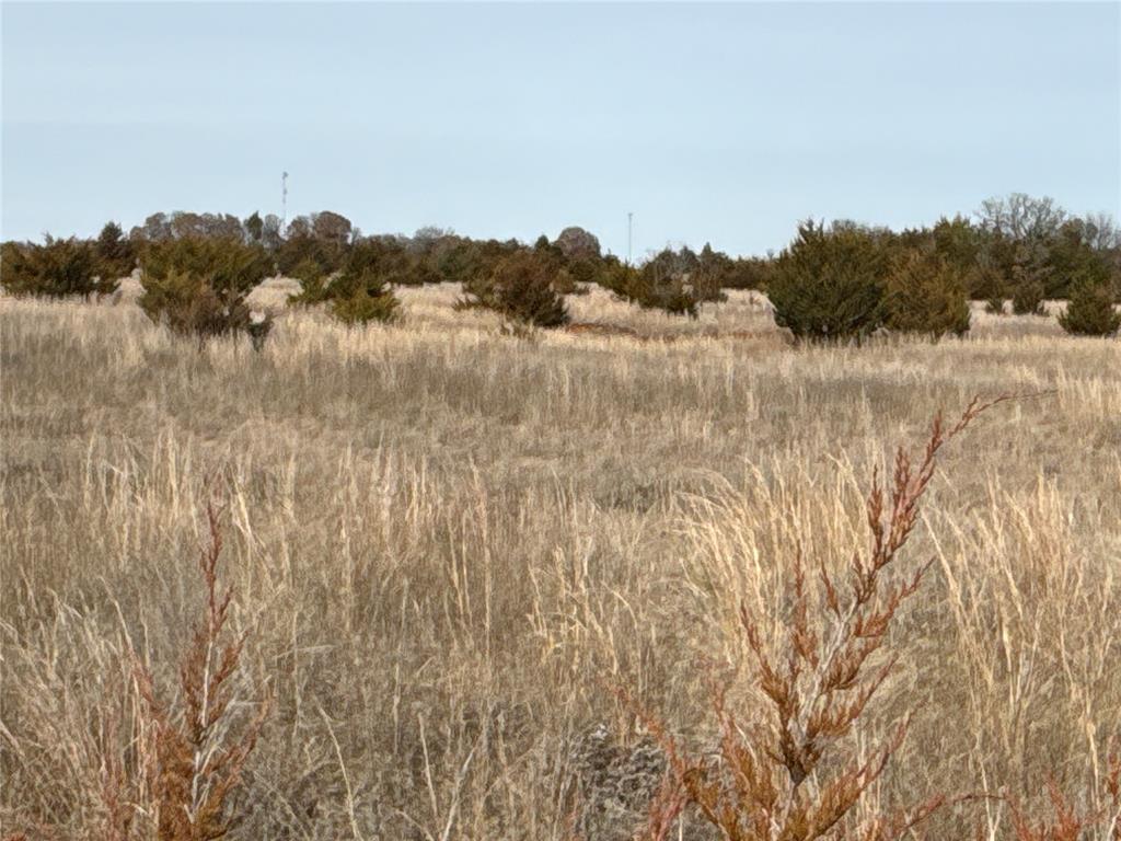 160 Acres Patterson & Skelly Road Property Photo 20