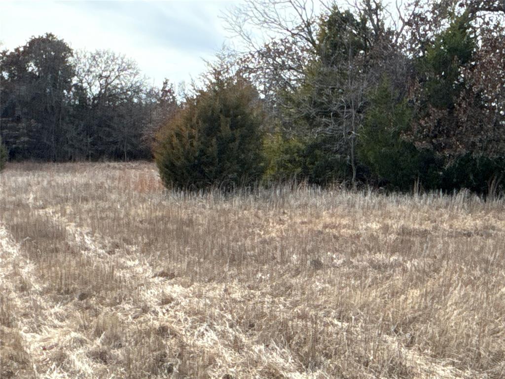 160 Acres Patterson & Skelly Road Property Photo 21