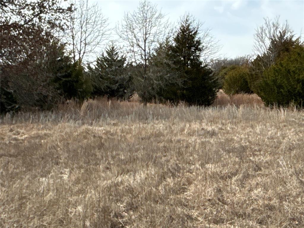 160 Acres Patterson & Skelly Road Property Photo 22