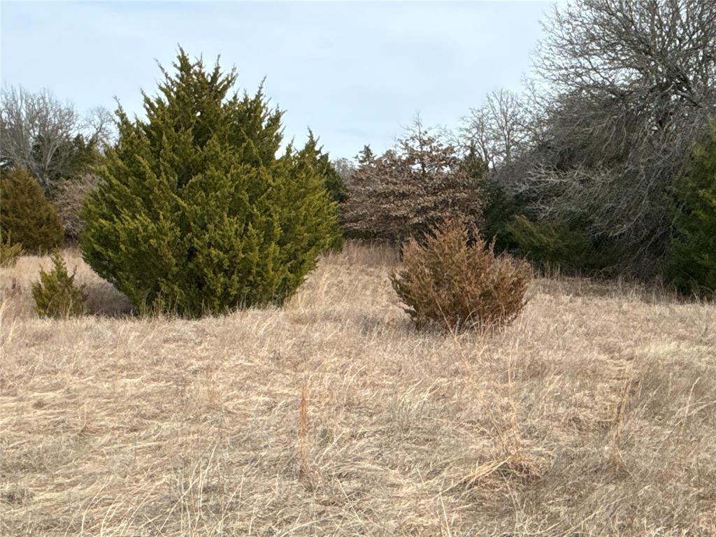 160 Acres Patterson & Skelly Road Property Photo 23