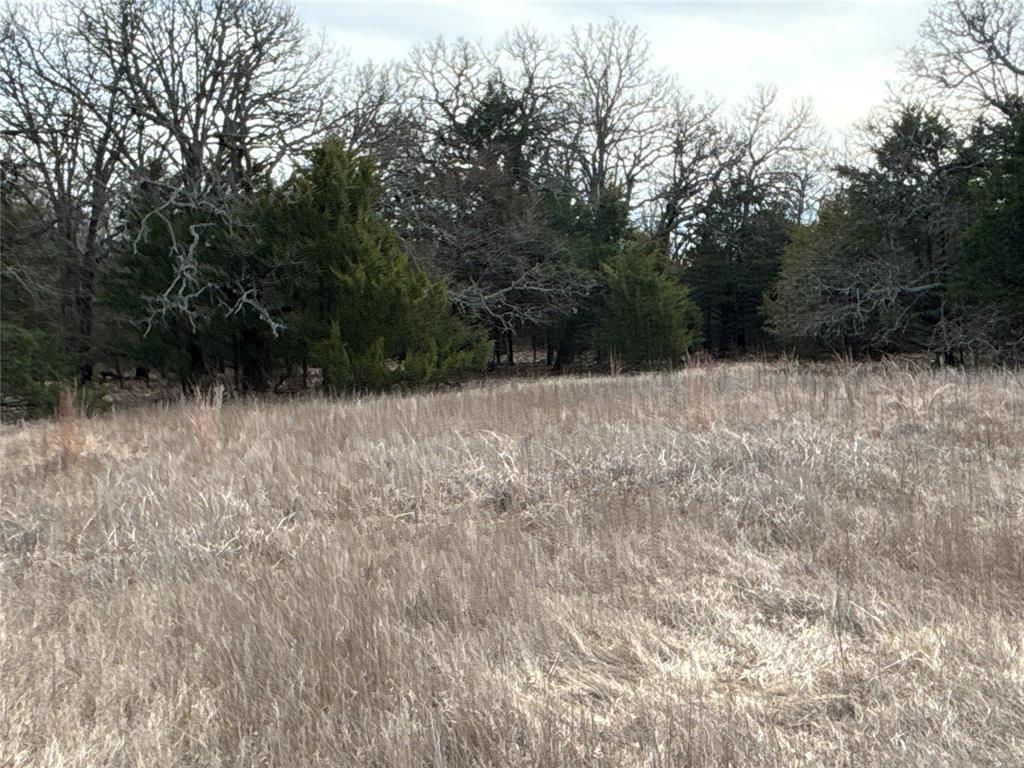 160 Acres Patterson & Skelly Road Property Photo 25