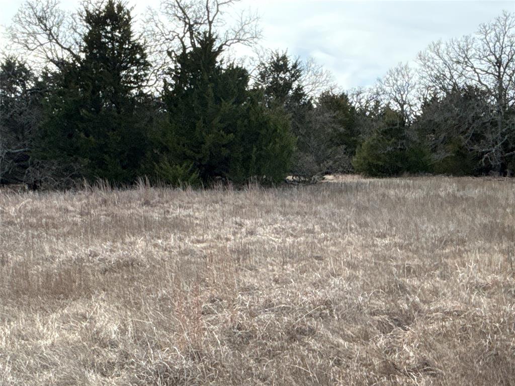 160 Acres Patterson & Skelly Road Property Photo 26