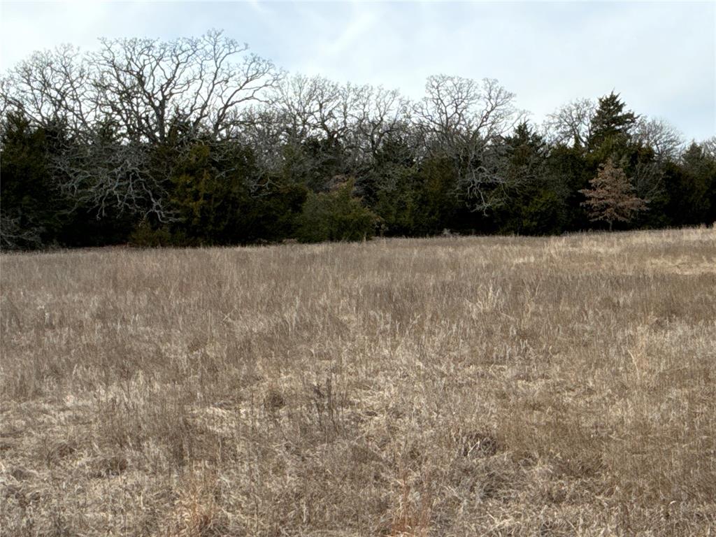 160 Acres Patterson & Skelly Road Property Photo 27