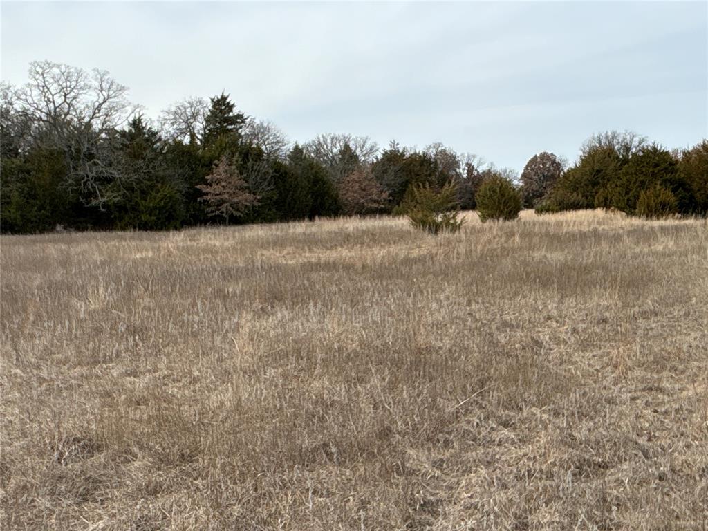 160 Acres Patterson & Skelly Road Property Photo 28