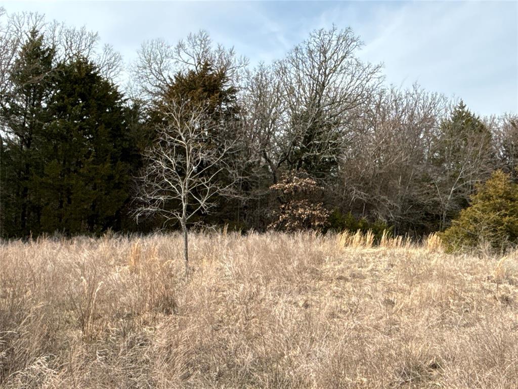 160 Acres Patterson & Skelly Road Property Photo 30