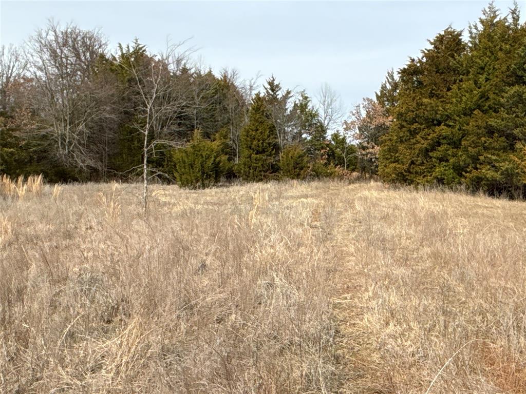 160 Acres Patterson & Skelly Road Property Photo 31