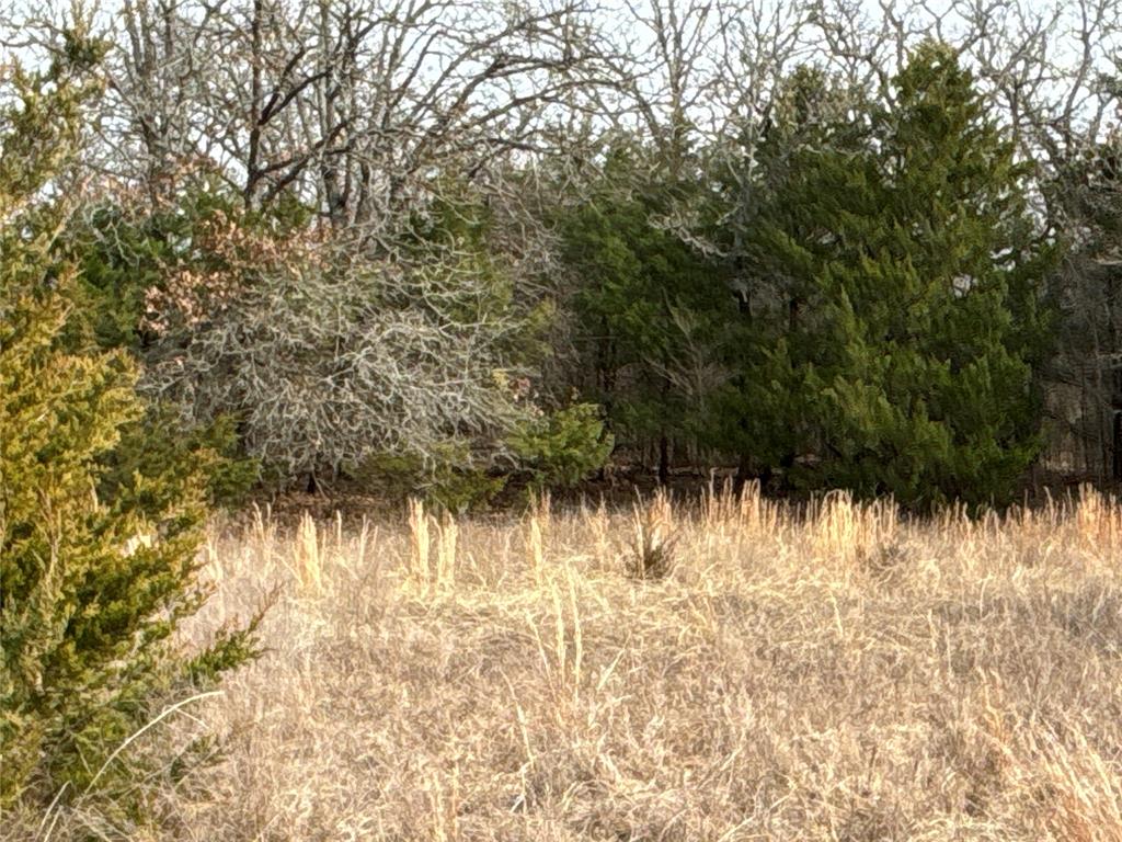 160 Acres Patterson & Skelly Road Property Photo 32