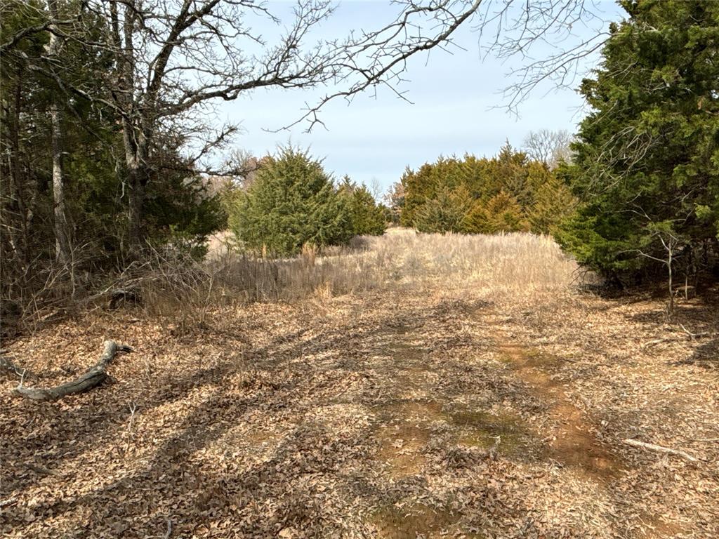 160 Acres Patterson & Skelly Road Property Photo 33