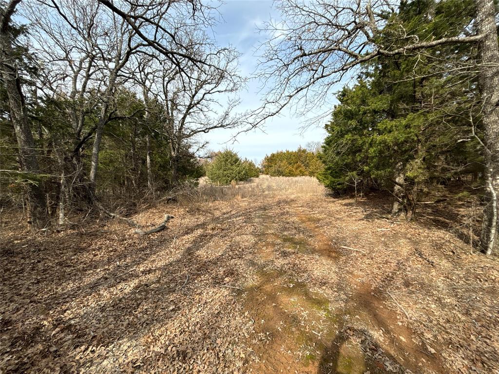 160 Acres Patterson & Skelly Road Property Photo 34
