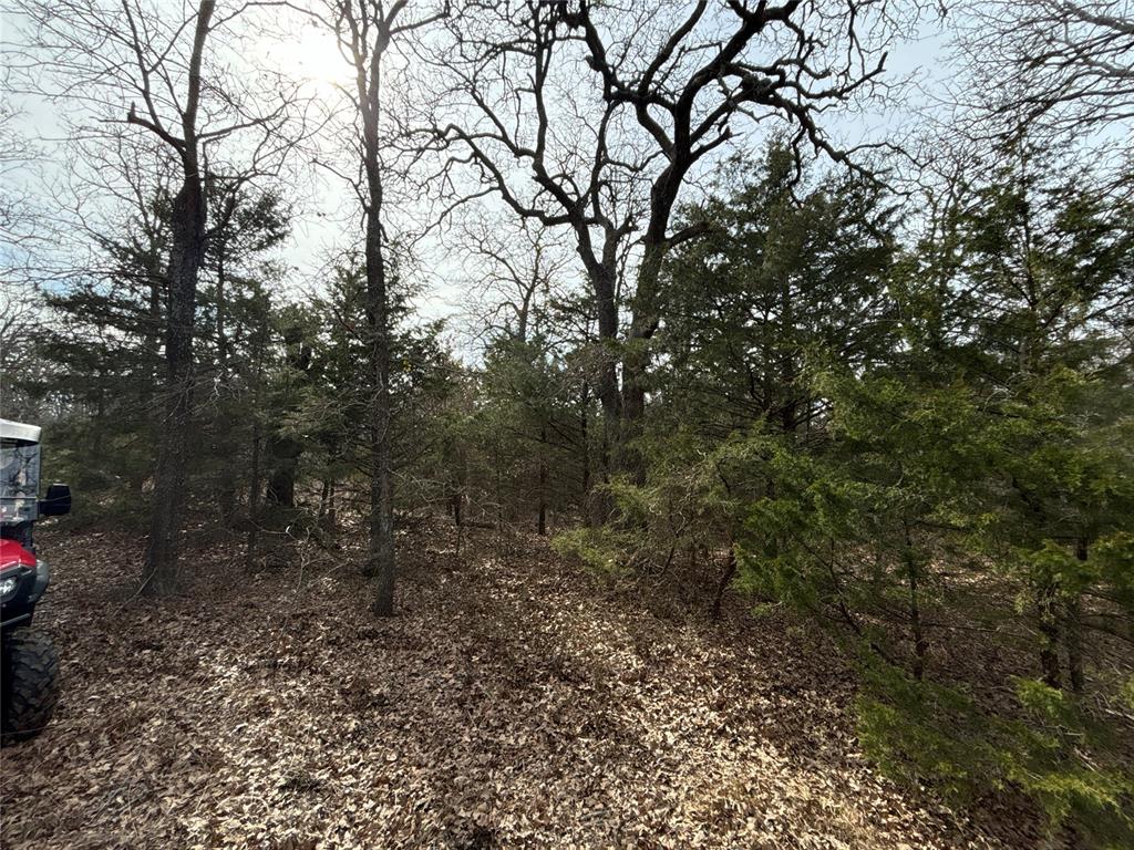 160 Acres Patterson & Skelly Road Property Photo 36
