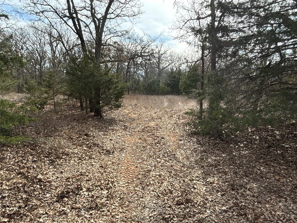 160 Acres Patterson & Skelly Road Property Photo 37