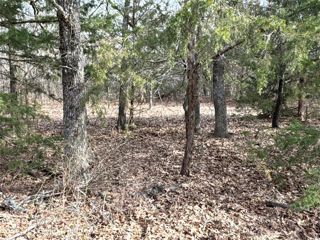 160 Acres Patterson & Skelly Road Property Photo 38